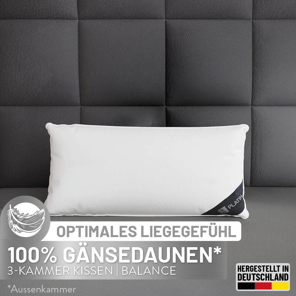 3-Kammer Gänsedaunenkissen Platin, 100 % Gänsedaunen (Außen)