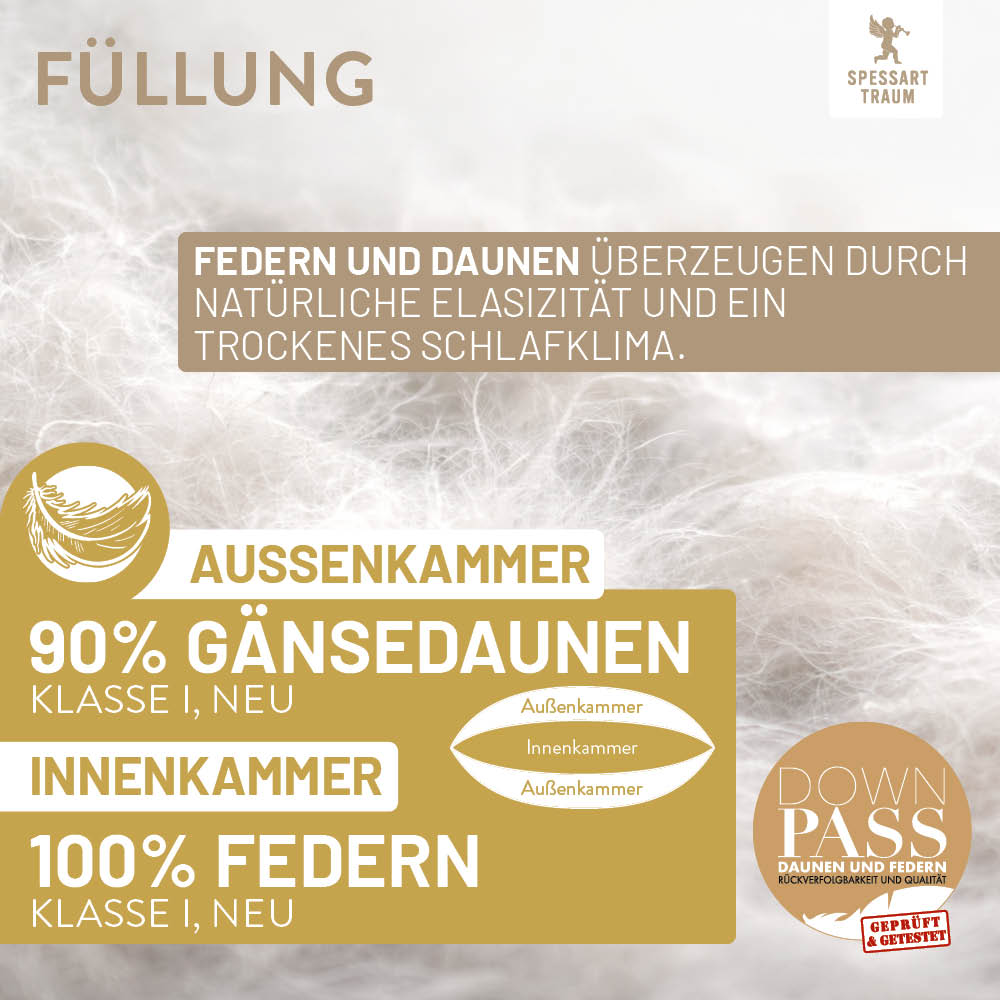3-Kammer Gänsedaunenkissen Gold, 90 % Gänsedaunen / 10 % Gänsefedern