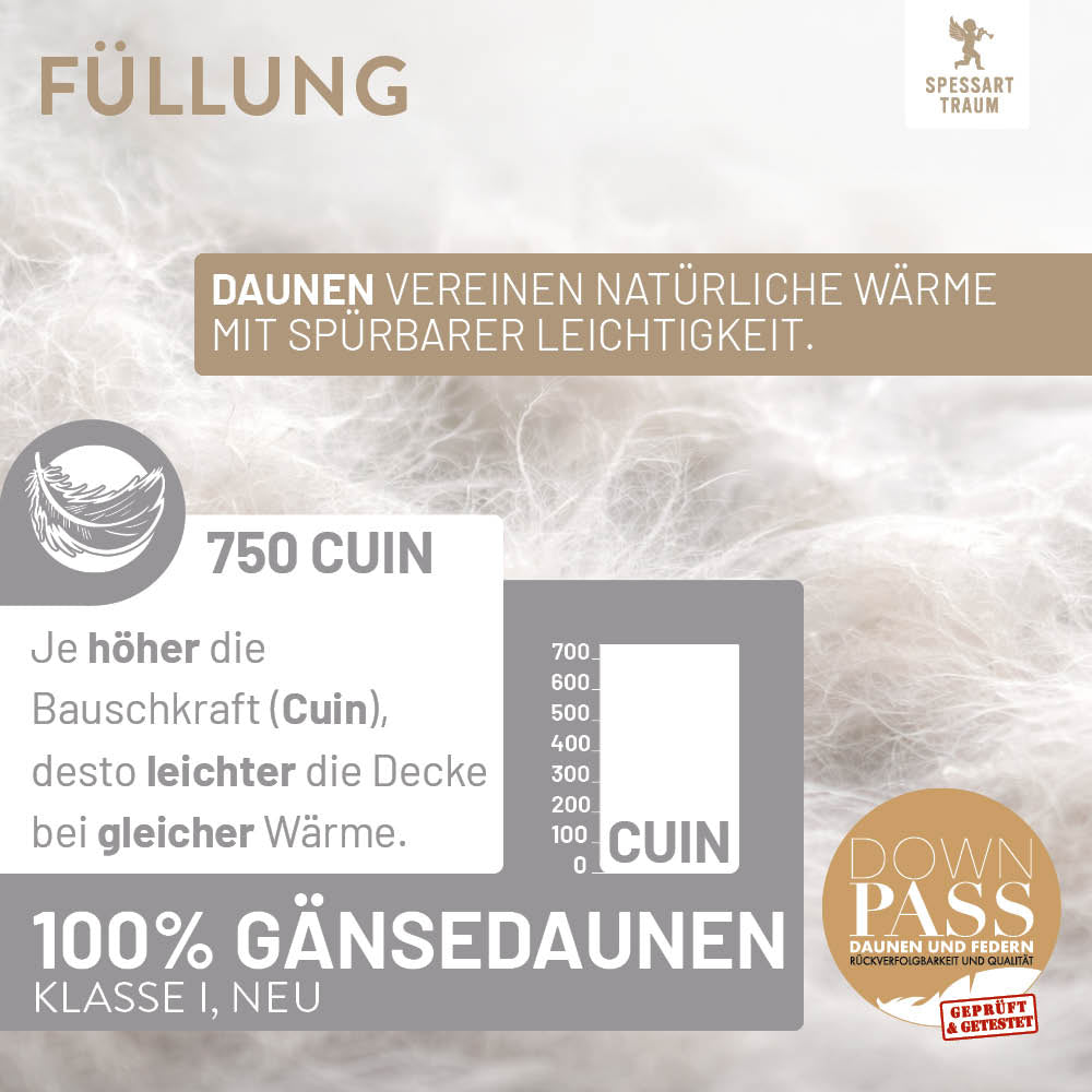 Gänsedaunenbettdecke Platin, 100 % Gänsedaunen