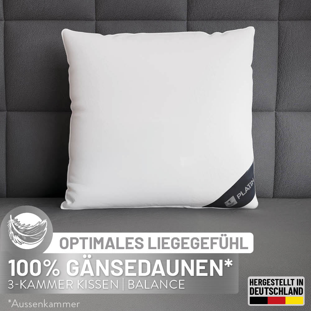 3-Kammer Gänsedaunenkissen Platin, 100 % Gänsedaunen (Außen)