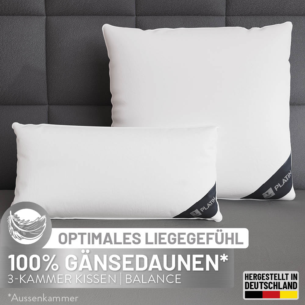 3-Kammer Gänsedaunenkissen Platin, 100 % Gänsedaunen (Außen)