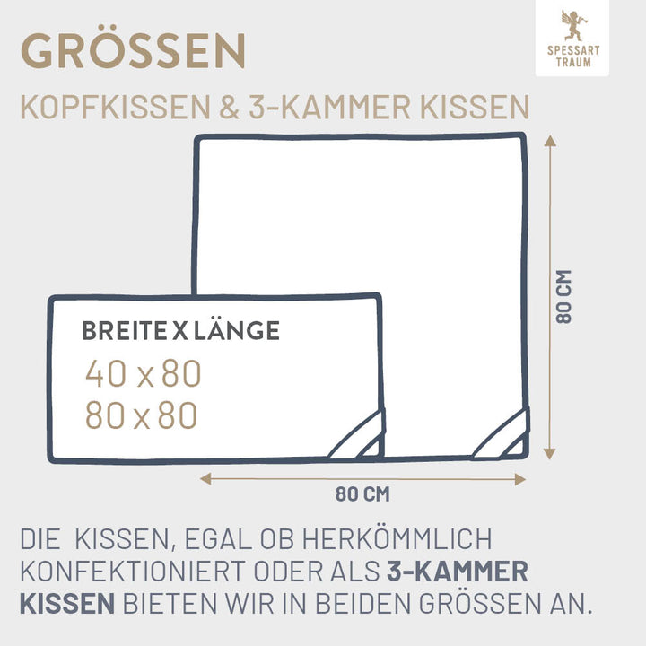 3-Kammer Gänsedaunenkissen Gold